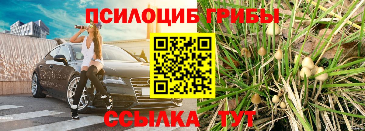Псилоцибиновые грибы Cubensis  Псилоцибиновые грибы MAGIC MUSHROOMS  Тольятти  Вход с VPN 
